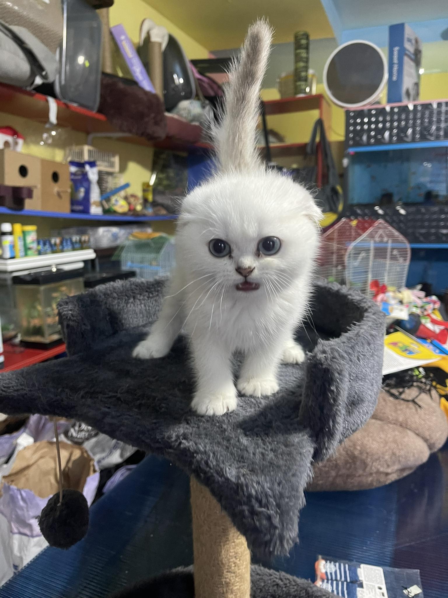 No description available.