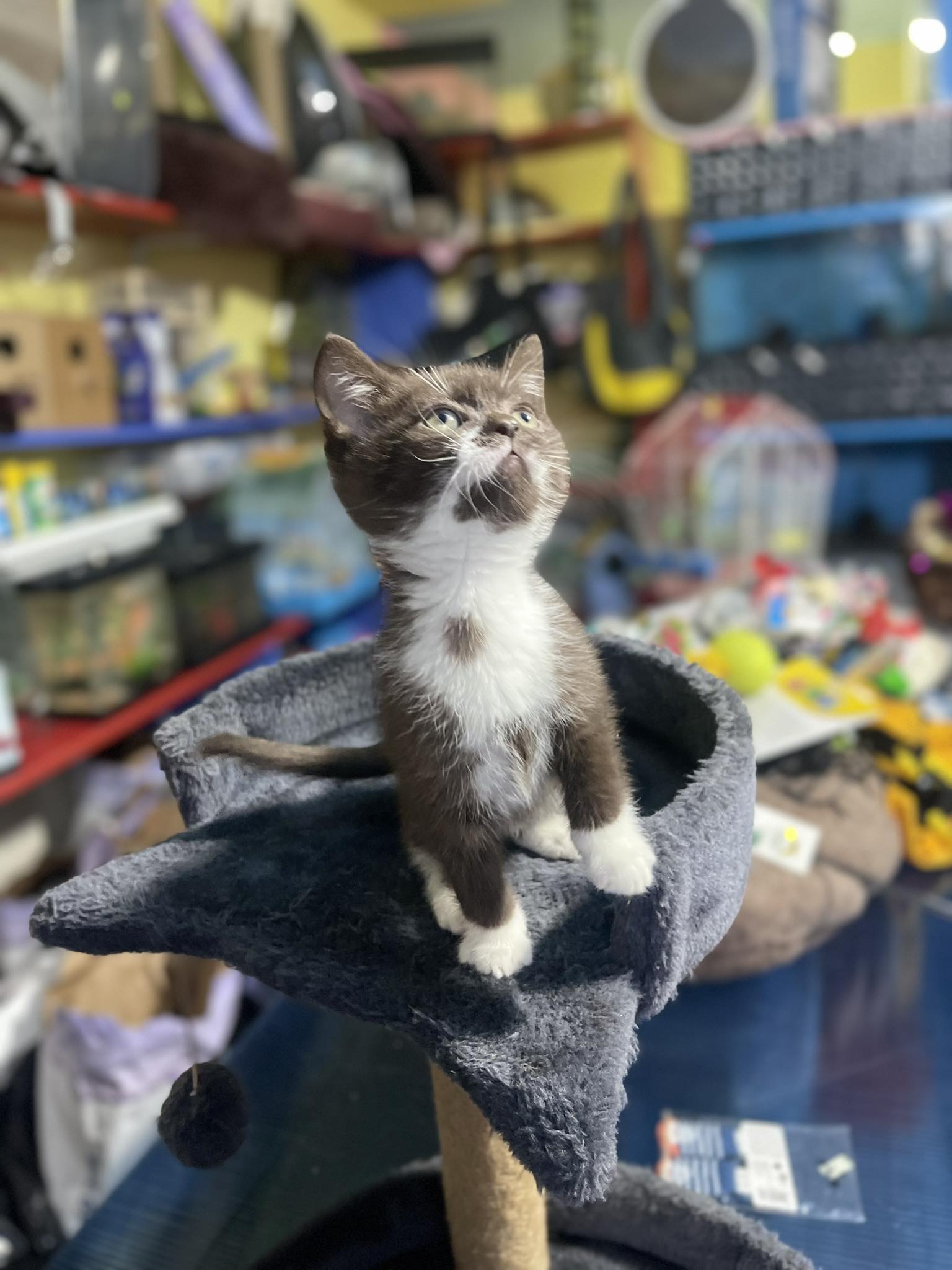 No description available.