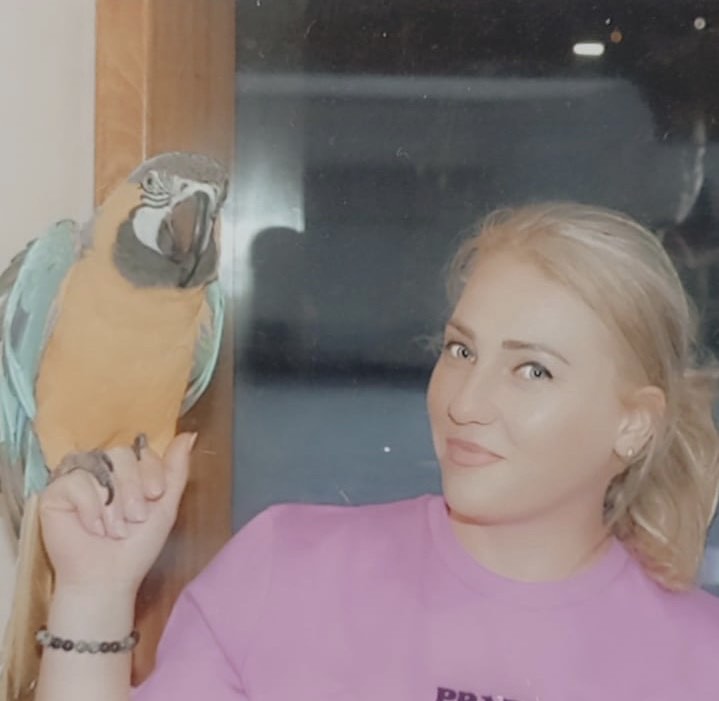 No description available.