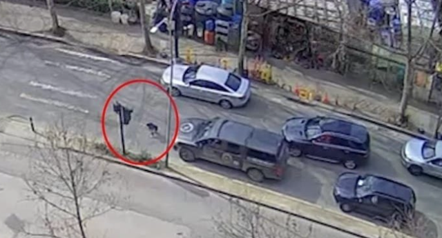 Dalin PAMJET nga momenti kur 7-vjeçari që po lypte përpl*set